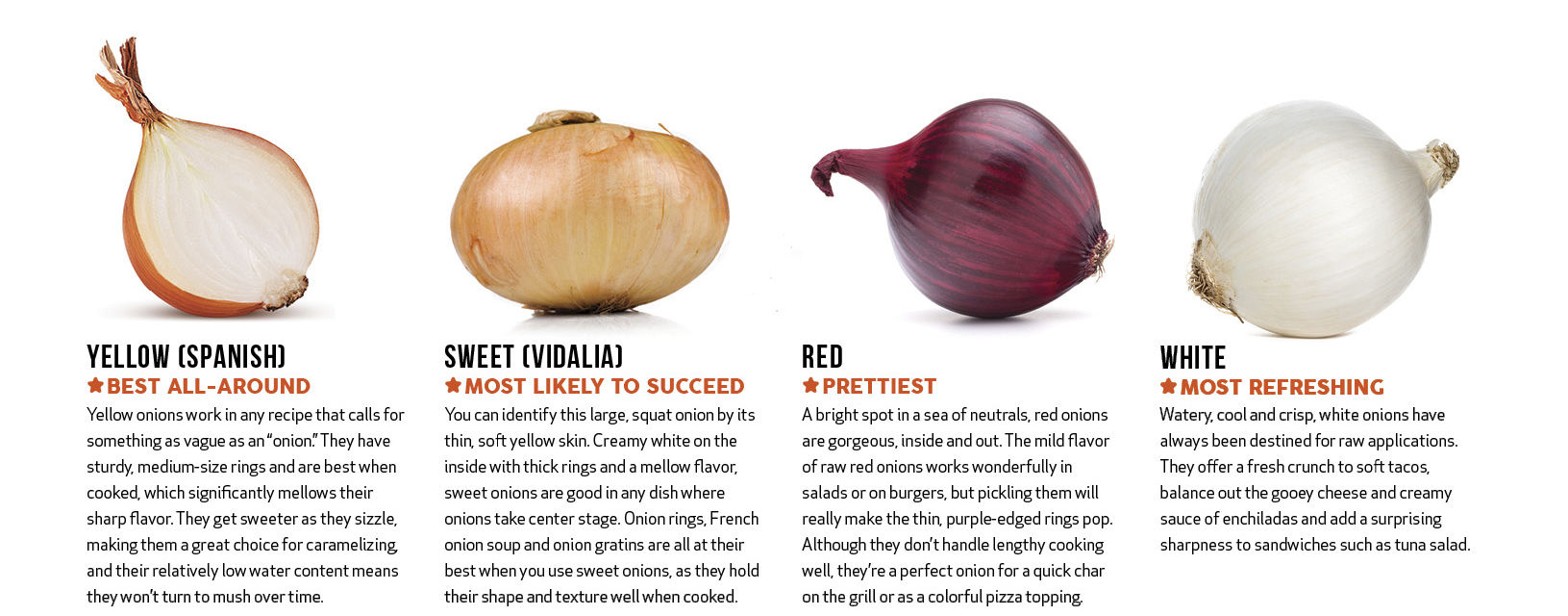 Onion Varieties 1